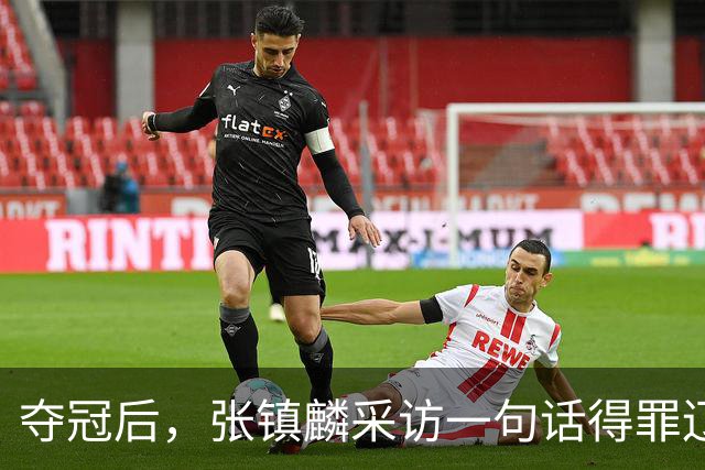 夺冠后，张镇麟采访一句话得罪辽宁，辽蜜：有本事到四川证明价值